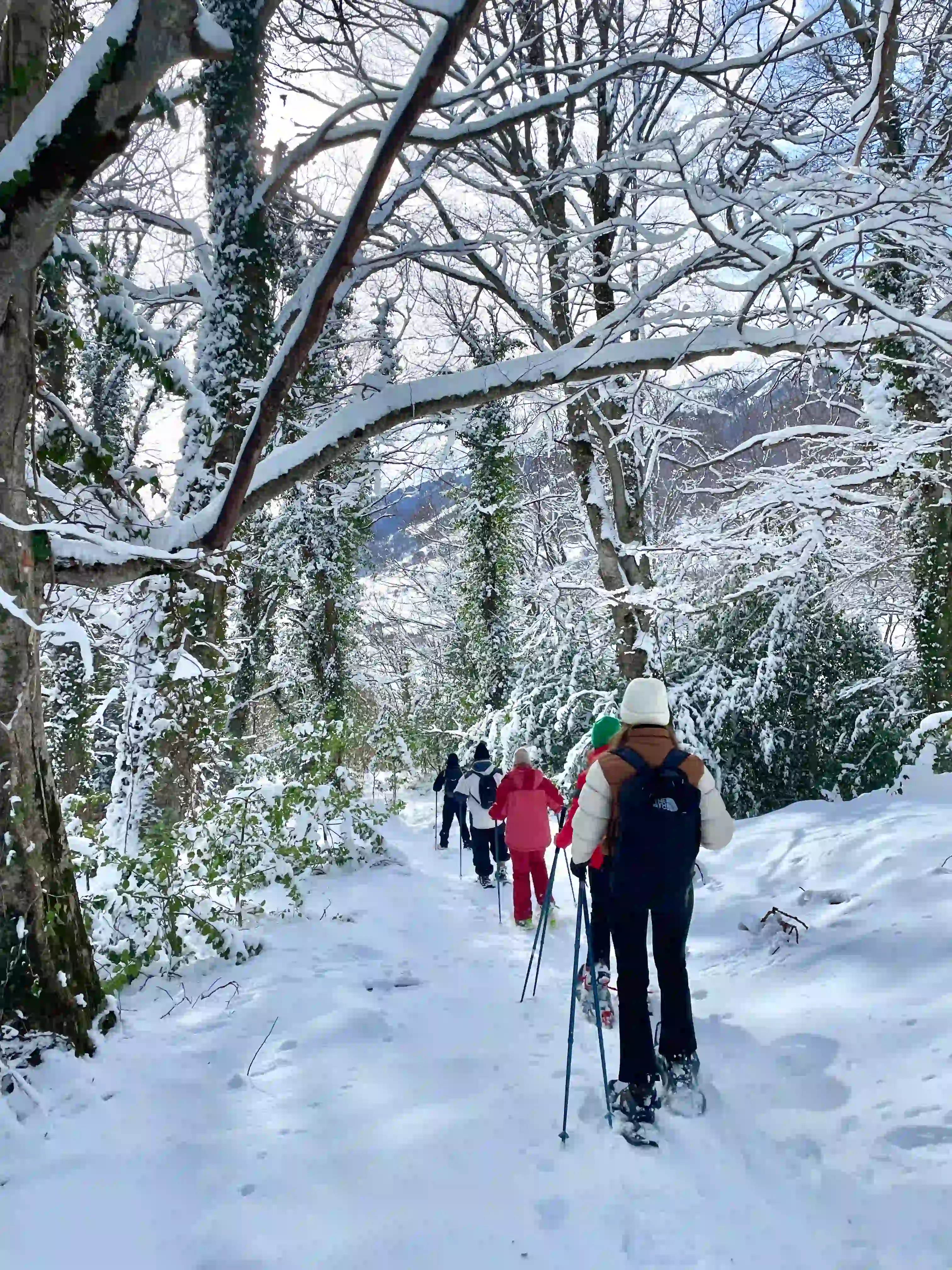 Pescocostanzo (AQ) – Ciaspolata al Bosco di Sant’Antonio slide